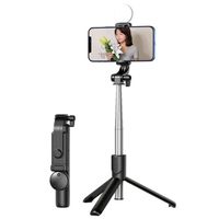 B10S Bt Selfie Stick Tripod Stand With Light